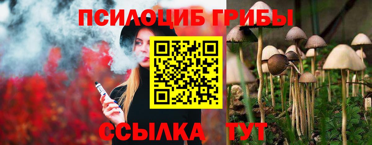 Муром  Псилоцибиновые грибы GOLDEN TEACHER  Вход с VPN  Псилоцибиновые грибы Cubensis 